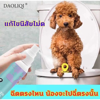 DAOLIQI สเปรย์ฝึกฉี่ สเปรย์ฝึกหมาฉี่ สเปรย์ฝึกขับถ่าย ไบโอไลน์ ​สำหรับลูกสุนัข ฝึกให้ลูกสุนัขขับถ่ายในพื้นที่หรือบริเวณท