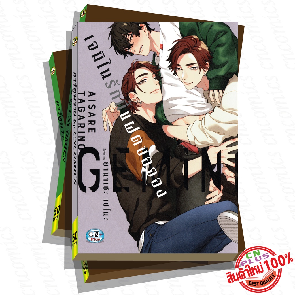 การ์ตูนวาย B5 เจมิไนรักนี้แฝดขอจอง