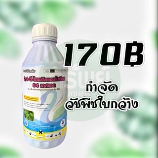 โฟคอล 2,4-D กำจัดหญ้าใบกว้าง #หมาแดงน้ำ #กำจัดหญ้าใบกว้าง 1 ลิตร #หญ้าแห้วหมู #เครือเถาว์ #วัชพืช