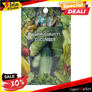 เมล็ดพันธุ์แตงกวา กรีน การ์เด้น เมล็ดพันธุ์ CUCUMBER SEED GREEN GARDEN ต้นไม้และเมล็ดพันธุ์