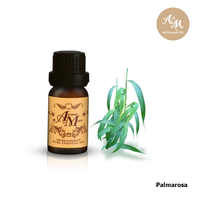 Aroma&More Cypress Blue Essential Oil 100% / น้ำมันหอมระเหยไซเปรส บลู 100% Australia 5/10/30ML