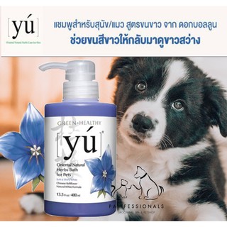 แชมพูสูตรขนขาวสารสกัดดอกบอลลูน YU Shampoo Chinese Bell Flowers Natural White (400ML)