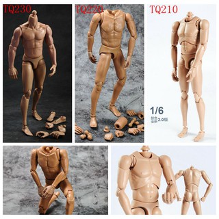 ตุ๊กตาฟิกเกอร์ PVC ยืดหยุ่น 1:6 Male TQ210 220 230 12 นิ้ว สําหรับเก็บสะสม