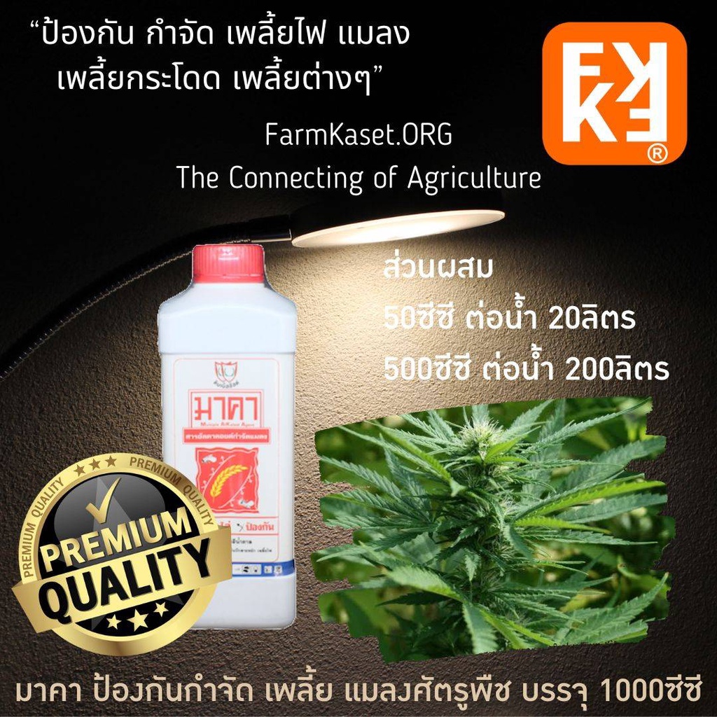 แก้ กัญชาใบไหม้ ใบเหลืองแห้ง เพลี้ยกัญชา กัญชาใบหงิก ปุ๋ยสำหรับกัญชา ชั้นเลิศ จาก FK ฟาร์มเกษตร