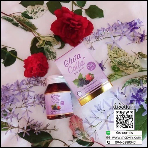 Gluta colla plus vit c กลูต้าคอลล่าพลัสวิทซี