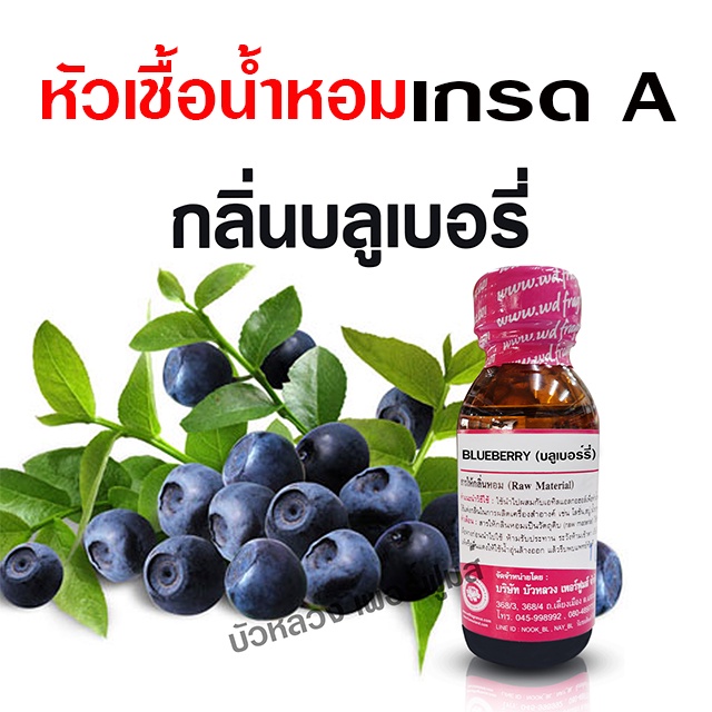 หัวเชื้อน้ำหอมแท้ 100% กลิ่นบลูเบอร์รี่ 30 ml. เข้มข้น หอมผลไม้ {{ พร้อมส่ง }} 🚚🚚 - Bualuang Perfume