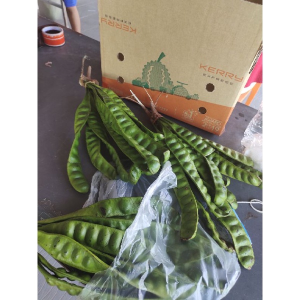 สะตอภาคคัดเม็ดสวย ออแกนิคไร้ยาฆ่าแมลงสามารภทำกับข้าว ผัดเผ็ดสะตอกุ้ง  สะตอน้ำพริก  ผัดเปรี้ยวหวานสะตอ