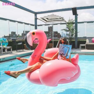 Pink flamingo float