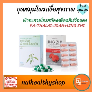 [พร้อมส่ง] ส่งฟรี ฟ้าทะลายโจรสกัด ฟ้าทลายโจร เห็ดหลินจือแดง เห็ดหลินจือสกัด กิฟฟารีน อาหารเสริม สมุนไพร บำรุงร่างกาย