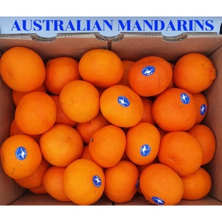 TOP-1ส้มแมนดาริน ออสเตรเลีย Mandarin Orange (1ลูก) (AUSTRALIA) ~ลดพิเศษ~ อร่อยที่สุด หวานมาก อมเปรี้ยว