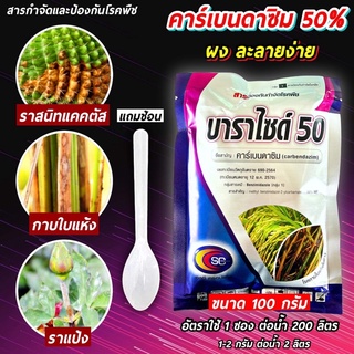 บาราไซด์ 50 ขนาด 100 กรัม คาเบนดาซิม#บอน#โรคในบอน #แคคตัส#เชื้อราไม้ปะดับ ราแป้ง