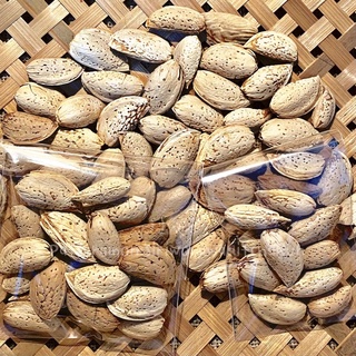 ‼️ขายดี‼️ อัลมอนด์ดิบ มีเปลือกหอม กระรอก นก หนู สัตว์เลี้ยงท…