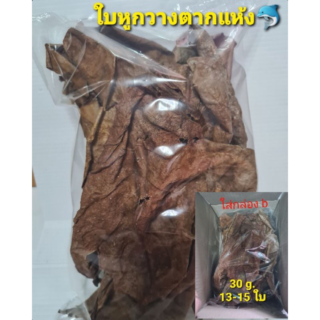 ใบหูกวางตากแห้ง - ทำให้ปลาลดความเครียด - มีสุขภาพที่ดี  - ป้องกันการติดเชื้อบางชนิด - เป็นยาครอบจักรวาลใช้รักษาแผลปลาได้
