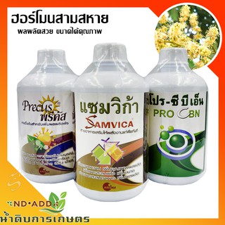 ฮอร์โมนลำไย บำรุงลำไย สามสหายขนาด 1 ลิตร💯