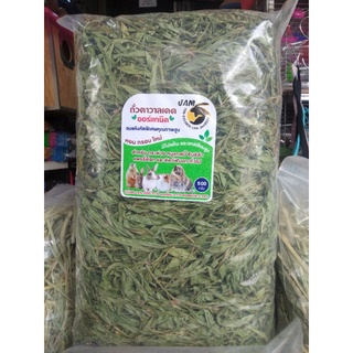 หญ้าถั่วคาวาลเคดสำหรับสัตว์พันธุ์แทะขนาด250g/500g