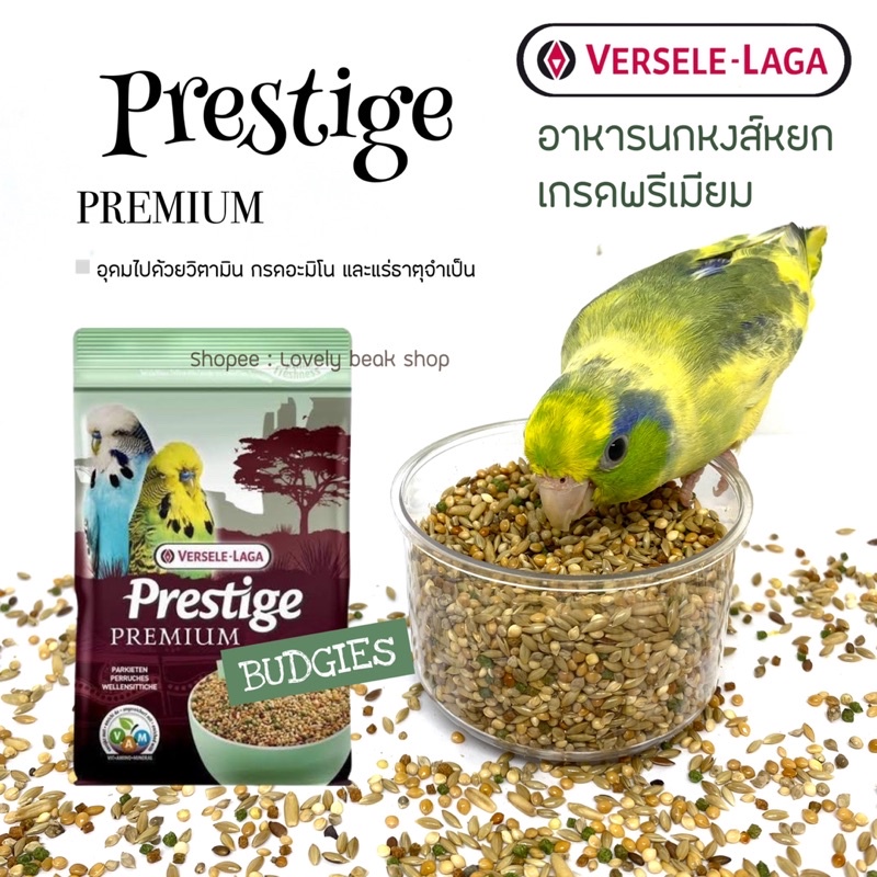 Prestige Budgie อาหารนกหงส์หยก และนกแก้วขนาดเล็ก เกรดพรีเมียม พร้อมด้วยวิตามิน อะมิโน และแร่ธาตุจำเป็น