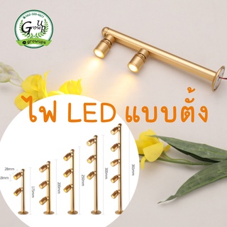 โคมไฟ LED แบบตั้ง ไฟประดับ โคมไฟตู้โชว์ ไฟโชว์สินค้า หลอดไฟ สปอตไลท์ ขนาดเล็ก 2w-5w ตู้โชว์ DOWNLIGHT ไฟตกแต่ง สีทอง