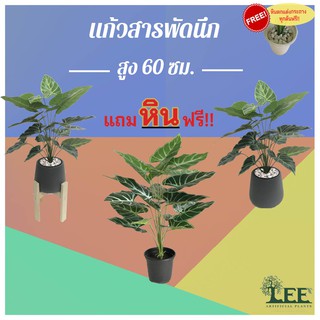 ((ต้นไม้มงคล!)) ต้นแก้วสารพัดนึก สูง 60 ซม. #ต้นไม้ปลอมตกแต่งบ้าน Leeartplants (๑)