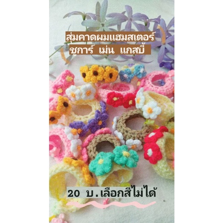 สุ่มคาดผมจิ๋ว แฮมสเตอร์ ชูการ์ เม่น แกสบี้