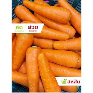 แครอท 🥕 500 กรัม และ 1 กิโลกรัม สวย สด เบอร์ใหญ่ แครอทสด แคร…