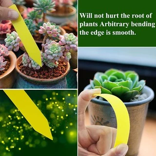 Uone Garden ป้ายชื่อต้นไม้แพ็คละ 10x2cm PVC สำหรับตกแต่งสวน 100 ชิ้น อุปกรณ์ตกแต่งสวน จัดสวน T010A