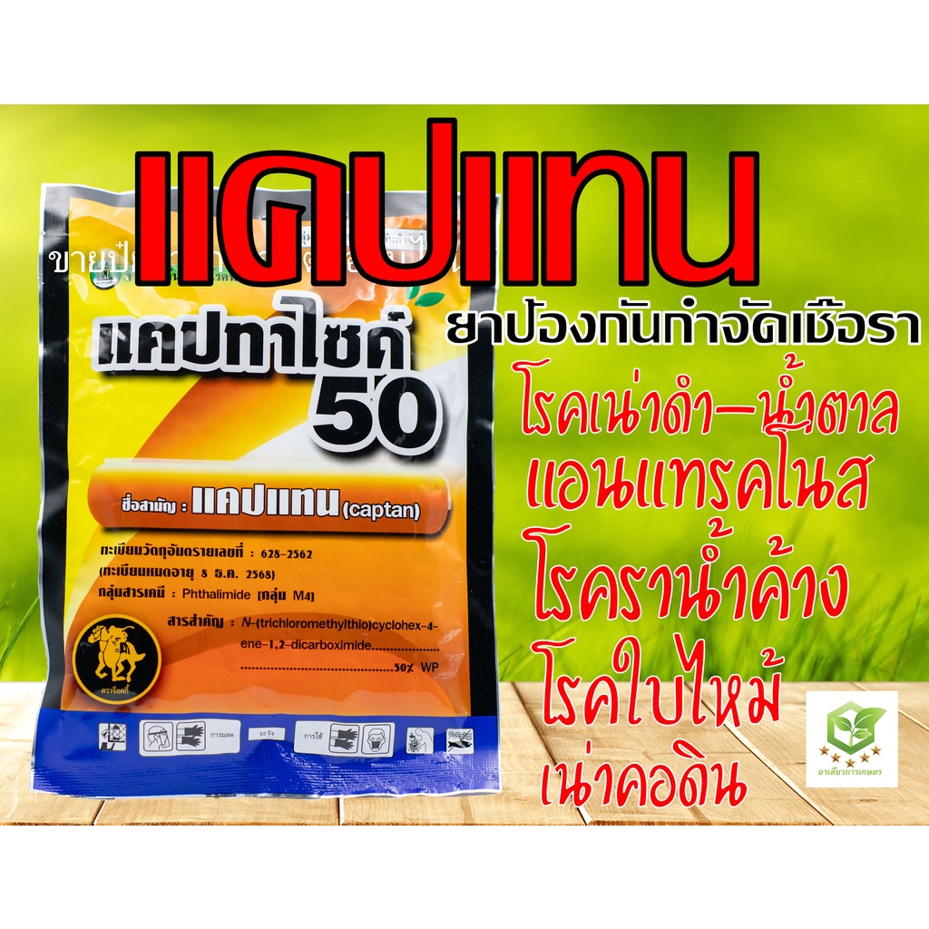 100กรัม แคปแทน แคปทาไซด์ 50 สารป้องกันเชื้อรา ยากันรา แคปเทน แคบแทน