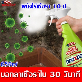 【ไม่ขึ้นรา 10 ปี】650mlน้ำยากำจัดเชื้อรา สเปรย์กำจัดเชื้อรา ฆ่าเชื้อรา กำจัดเชื้อรา น้ำยาฆ่าเชื้อรา  น้ำยาเช็ดเชื้อรา