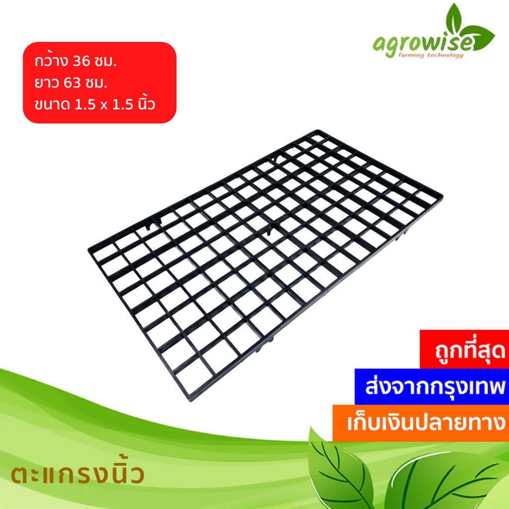 My Image 57