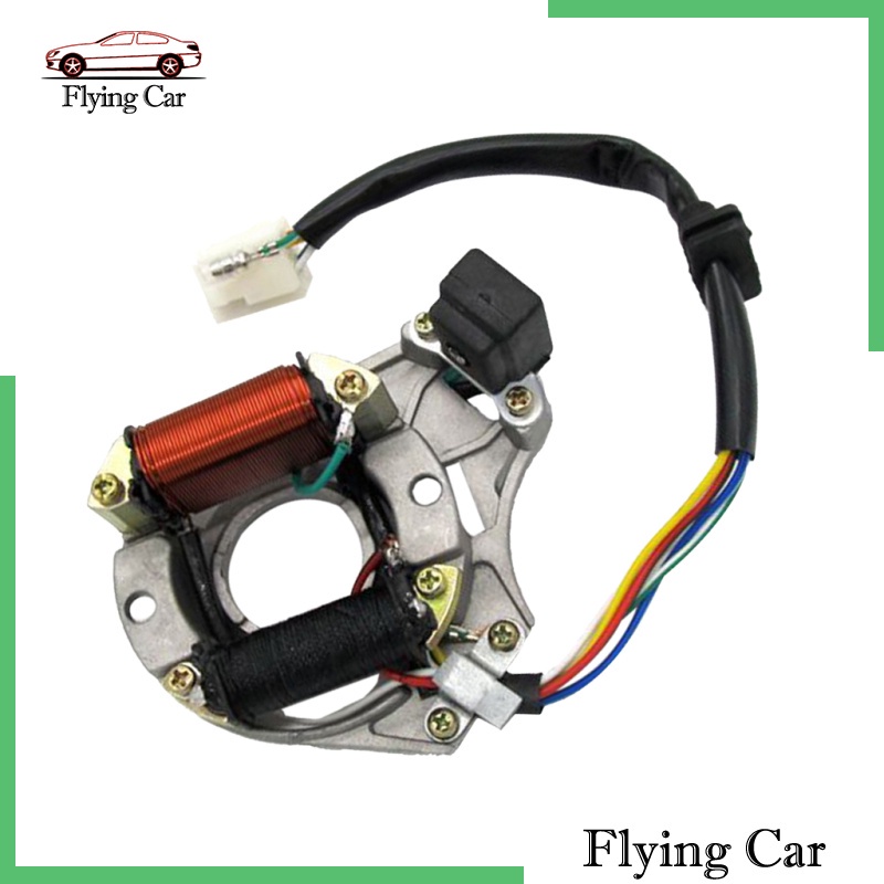 [ราคาจำกัดเวลา] 2-Coil Magneto Stator for Kazuma Quad ATV Kart Bike LF100 DY100 H100 LX100