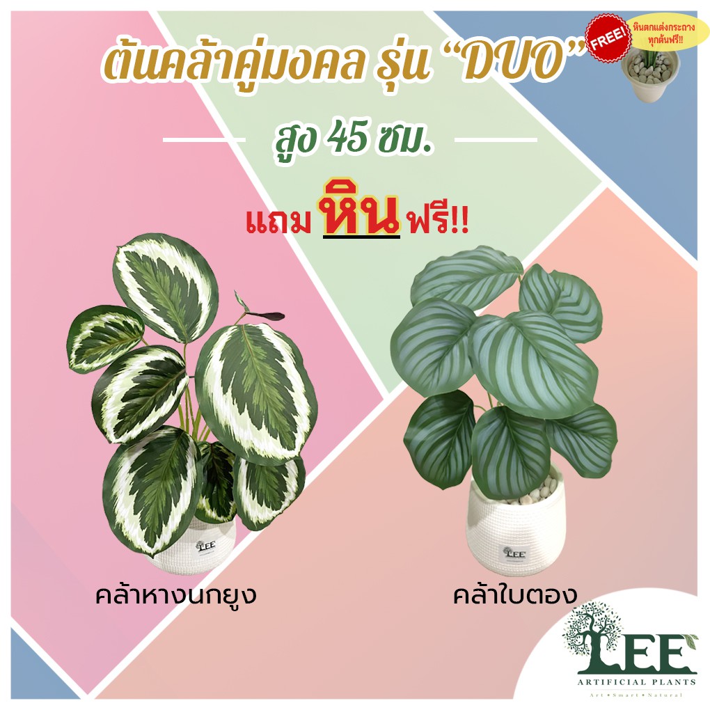 (( ต้นคล้าคู่มงคล! )) ต้นคล้าหางนกยูง/ต้นคล้าใบตอง สูง 45 ซม. “รุ่น Duo”  พร้อมกระถาง #ต้นไม้ปลอมตกแต่งบ้าน Leeartplants