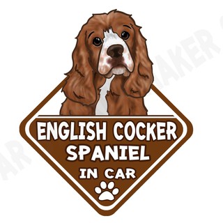 สติกเกอร์ติดรถ สติ๊กเกอร์ติดรถยนต์ สติกเกอร์หมา DGA89  English Cocker Spaniel