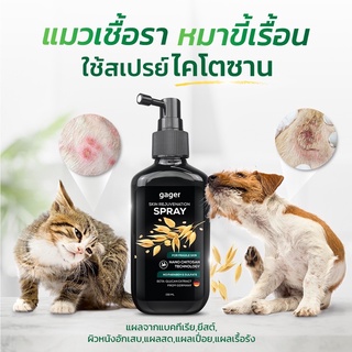 Gager(100ml.)สเปรย์รักษาขี้เรื้อน เชื้อรา ผื่นแดง ผิวหนังอักเสบ ยีสต์ สเปรย์นาโนไคโตซาน-เบต้า กลูแคน สำหรับสุนัข/แมว