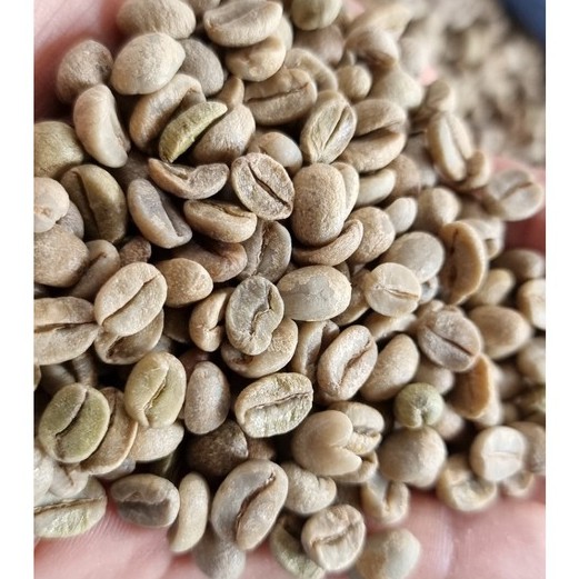 เมล็ดกาแฟสารดำ พร้อมคั่ว