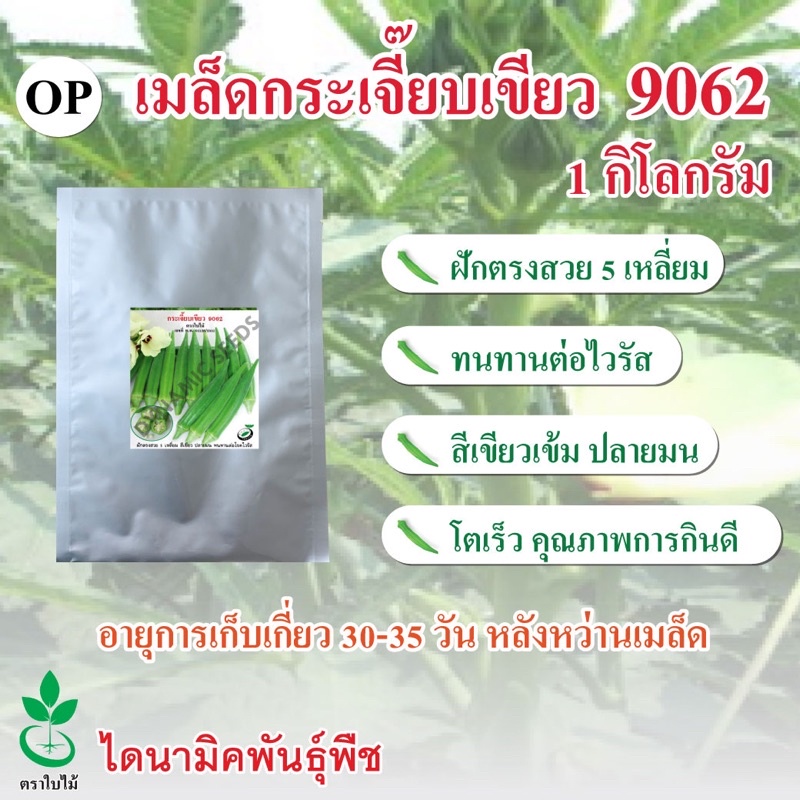 เมล็ดพันธุ์กระเจี๊ยบเขียว 9062 ตรา ใบไม้ ขนาด 1 กก. จำนวน 1 ซอง จาก ไดนามิคพันธุ์พืช