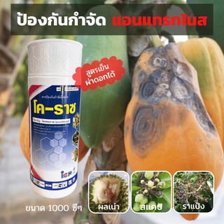 💥💥  โคราซ (Prochloraz 45% EW)  ขนาด 1 ลิตร ใช้ป้องกันและกำจัดโรคพืชที่เกิดจากเชื้อราได้อย่างดีเยี่ยม  💥