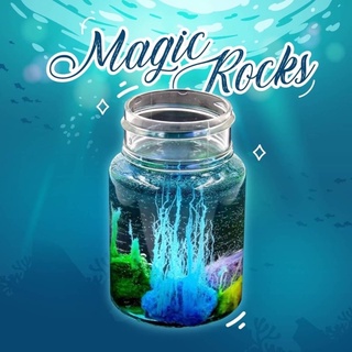 การทดลอง จำลองเรื่องหินงอก ชุด Magic Rocks