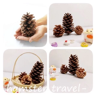 [hamster travel]ของเล่นเคี้ยวสำหรับแฮมสเตอร์ ลูกสน ของเล่นเคี้ยวสำหรับสัตว์เลี้ยง ของตกแต่งกรงแฮมสเตอร์