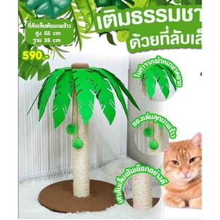 ที่ลับเล็บแมว ต้นมะพร้าว🌴🐱 ตัวเสาลับเล็บเส้นผ่านศูนย์กลาง 5 cm