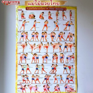 โปสเตอร์ ✅แม่ไม้มวยไทย boxing ✅Poster นวด นวดแผนไทย ฤษีดัดตน กดจุดรักษาโรค ลมปราณ ไม้กดจุด