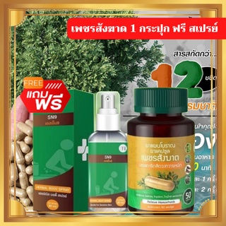 เพชรสังฆาด ริดสีดวง 1 กระปุก 50 แคปซูล ฟรี สเปรย์ริดสีดวง แบบทาน แบบพ่น 1 ขวด เชตปราบริดสีดวง