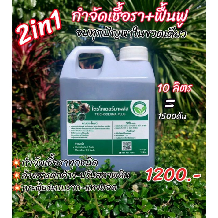 ไตรโคเดอร์มา 2in1 ขนาด 10 ลิตร-10000cc กำจัด-ป้องกันโรคเชื้อรา+ฟื้นฟู