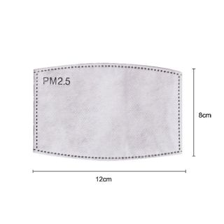 แผ่นกรองคาร์บอน PM 2.5