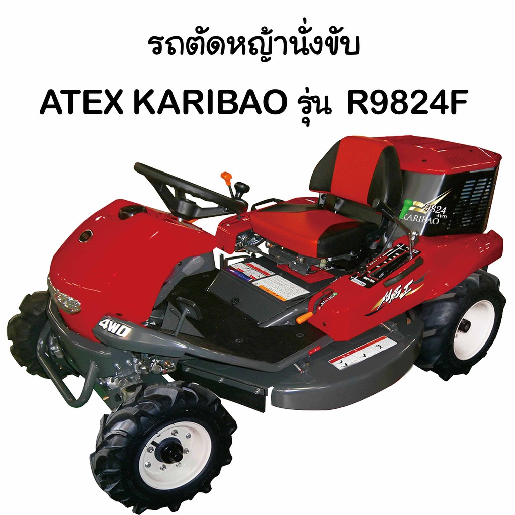 My Image 37
