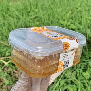 รวงผึ้ง 250 กรัม (Honeycomb) ออร์แกนิก [ มี อย. ] และ [ มาตร…