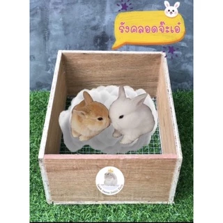 ‼️พร้อมส่ง‼️รังคลอดสำหรับกระต่าย รังคลอดไม้สำหรับกระต่าย (รังคลอดจ๊ะเอ๋) สัตว์ฟันแทะ แกสบี้ แพรี่ด็อก