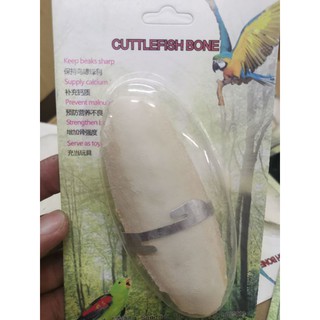 Cuttlefish Bone กระดองปลาหมึกพร้อมที่แขวน