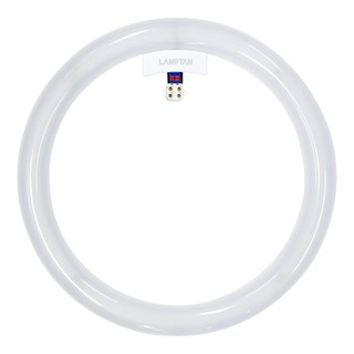 LAMPTAN หลอดไฟนีออนกลม Circular Set LED 24W แสงขาว (DL)