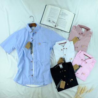 เสื้อเชิ้ต​หมี​แขน​สั้น​ Short​ Sleeve​ Oxford​ 100% Cotton​ Import Strip Line Shirts