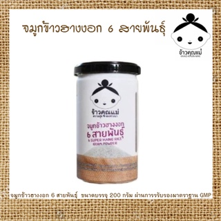 จมูกข้าวอินทรีย์ จมูกข้าวฮางงอก 6 สายพันธุ์