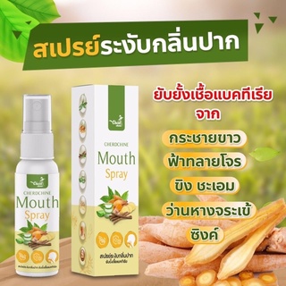 สเปรย์กระชายขาวฟ้าทะลายโจร ยับยั้งเชื้อโรค 20 ML พร้อมส่ง